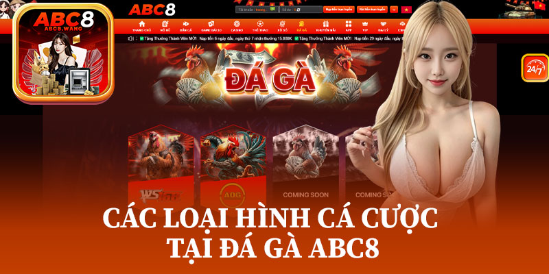 Các Loại Hình Cá Cược Tại Đá Gà ABC8